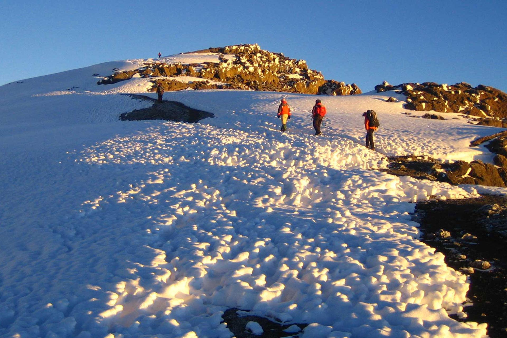 7-day Kilimanjaro Climb via Machame Route