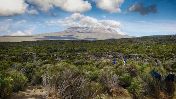 Kilimanjaro - Lemosho route